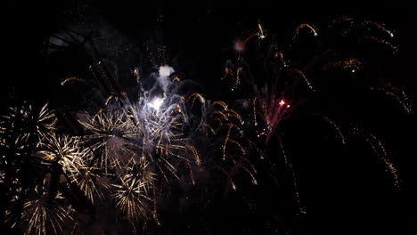 espectáculo de fuegos artificiales coloridos por la noche