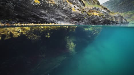 spectacular over-under footage capturing a majestic fjord with rocky shores and floating weeds