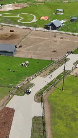 aerial view of animal park: paths, enclosures, and visitors