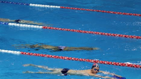 swimmers race in pool, showcasing speed and skill