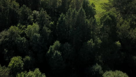 drone flying over outing club ski hill in the summer