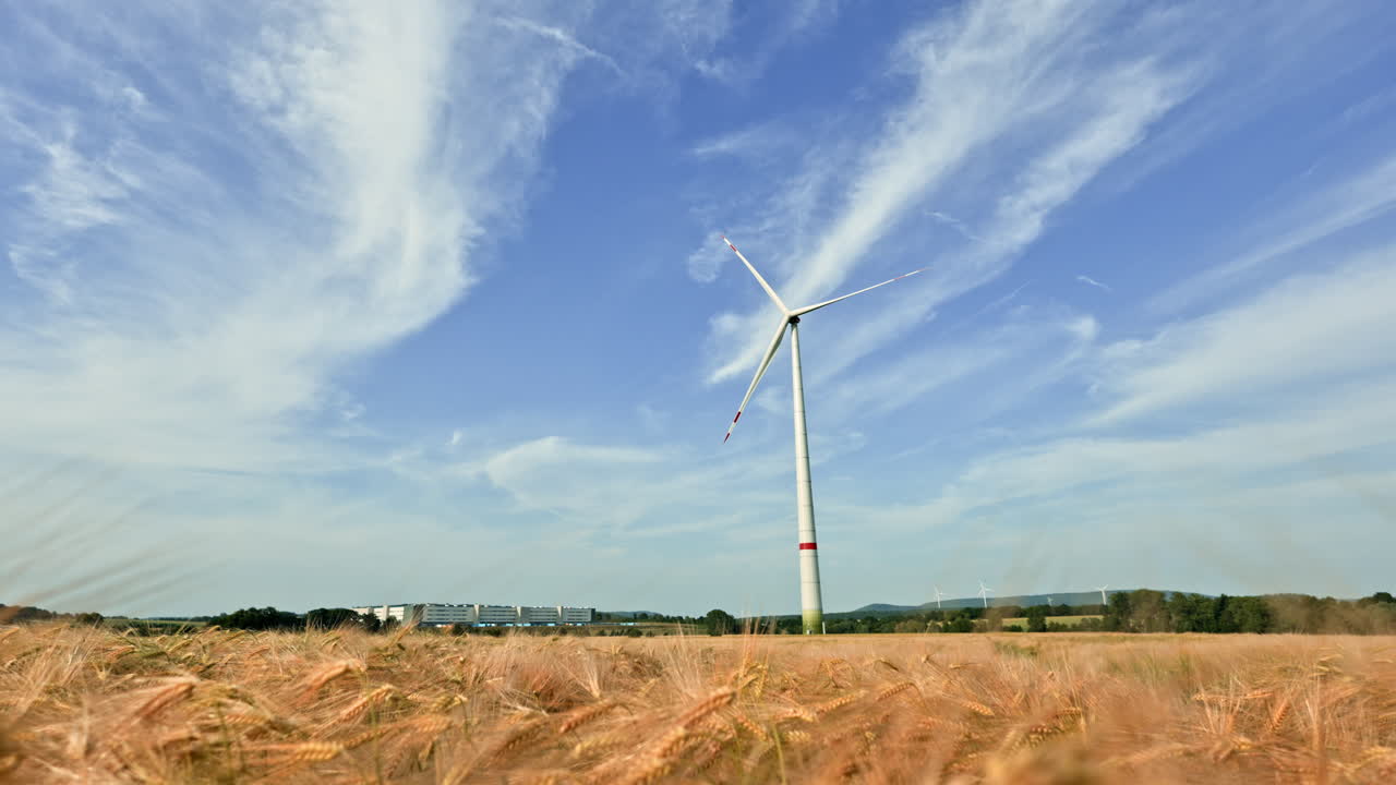 Turbina eolica che ruota in un campo di grano dorato sotto un cielo blu.