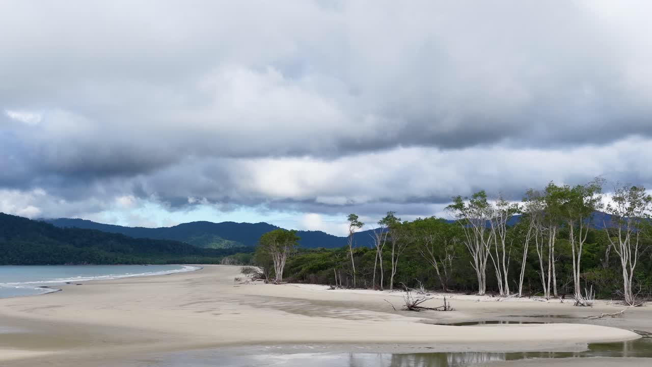 Aerial drone footage glides over a sandy beach and lush rainforest under dramatic storm clouds in Port Douglas, Queensland. Wide landscape, natural light