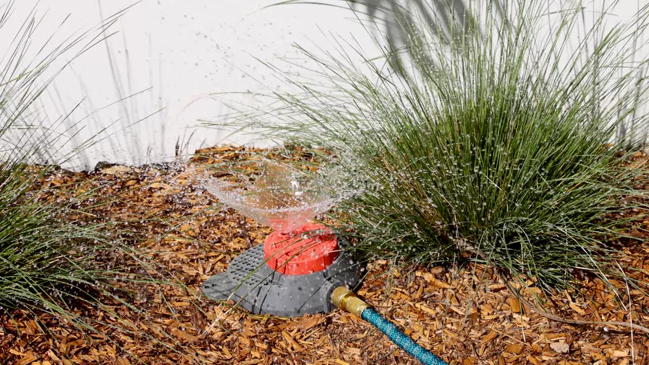 정원 베드 에 있는 스프링클러 물 을 뿌리는 식물