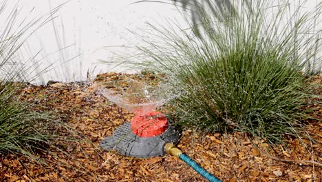 sprinkler watering plants in a garden bed