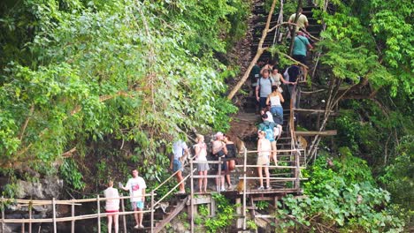 group ascending wooden stairs in lush forest