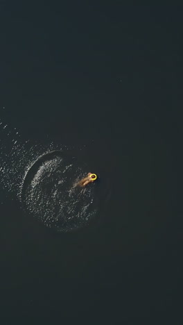 Happy little child in yellow life vest swimming alone on his back in the calm river. Teenage boy wearing safety waistcoat cheerfully swimming. Aerial view. Motion bottom up Vertical video