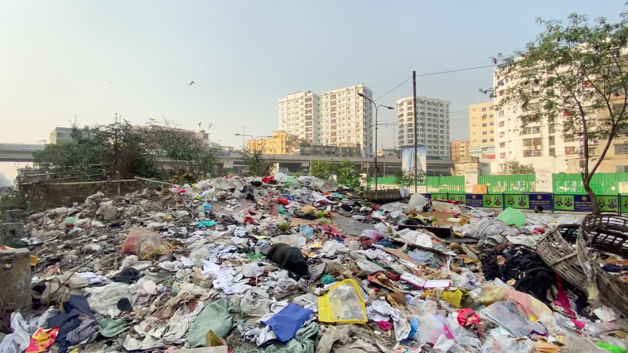 Black Dog Sitting In Pile Of Street Garbage Beside Road