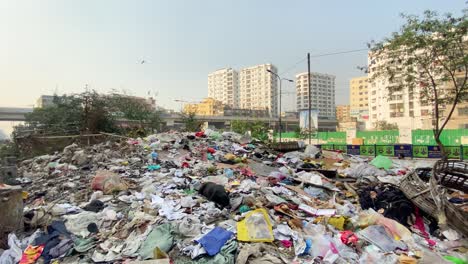 Black-Dog-Sitting-In-Pile-Of-Street-Garbage-Beside-Road