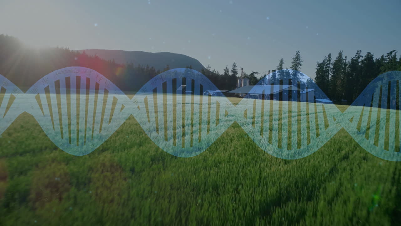 DNA helix overlaying farmland scene, showing sunlit grass near silos and evergreens in flat design