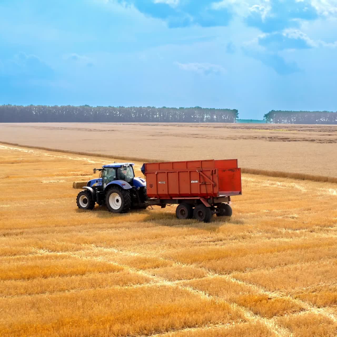 Bale machine collect straw in the field. Aerial view of country farming landscape and wheat field being harvested by combine harvester with trailer