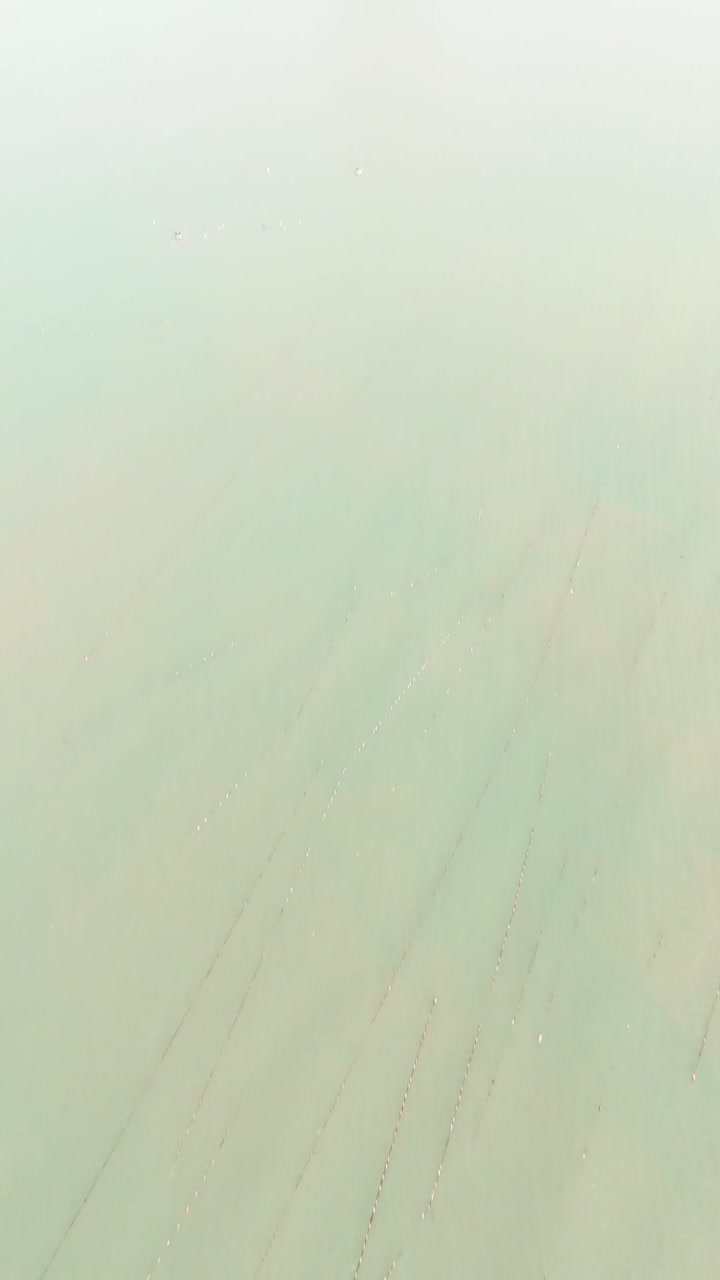 Aerial Vertical Shot Tilt of the Coast in Phan Rang–Tháp Chàm.