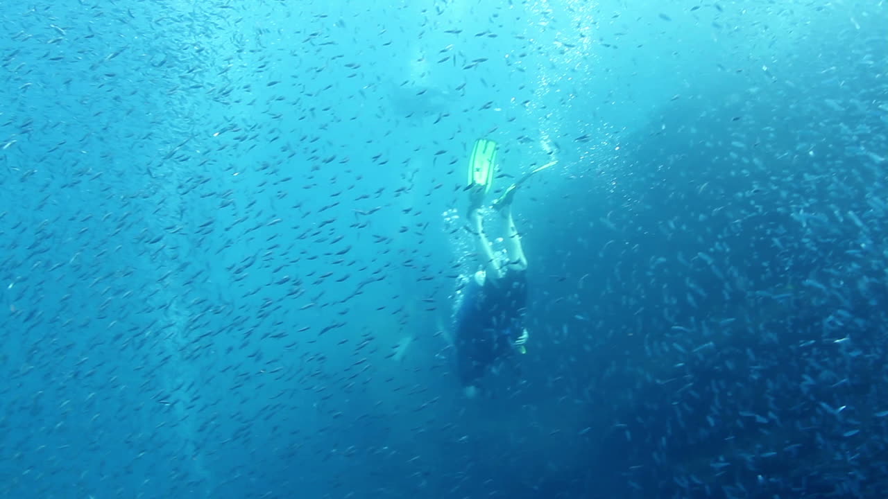 멕시코 다이빙 0 33