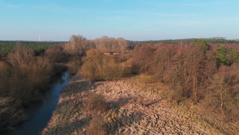 breckland forest with a river, capturing natural landscape in norfolk, aerial view