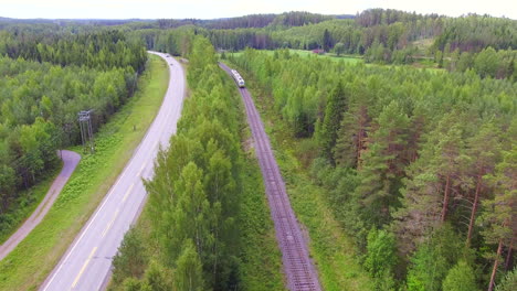 railroad and highway side by side in the middle of the forest