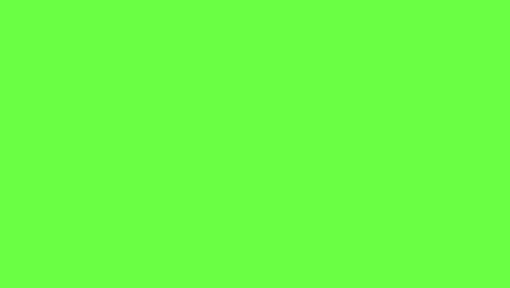 diseño gráfico de viernes negro