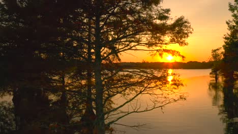 Panning-drone-shot-around-a-tree-of-the-tranquil-stumpy-lake-in-the-Virginia-Beach-area-with-the-sun-setting-in-the-horizon