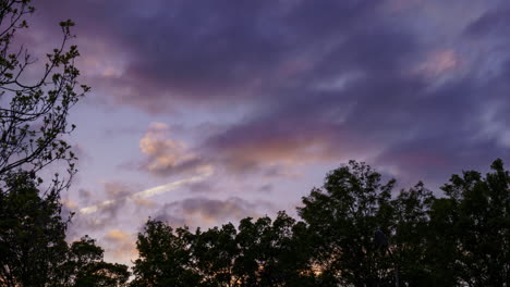 las nubes pasan de amarillo a púrpura mientras el sol se pone detrás de los árboles