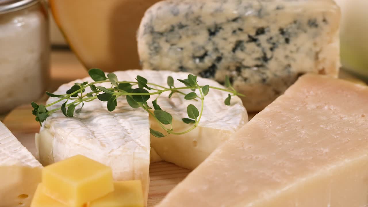 variedad de quesos y productos lácteos exhibidos