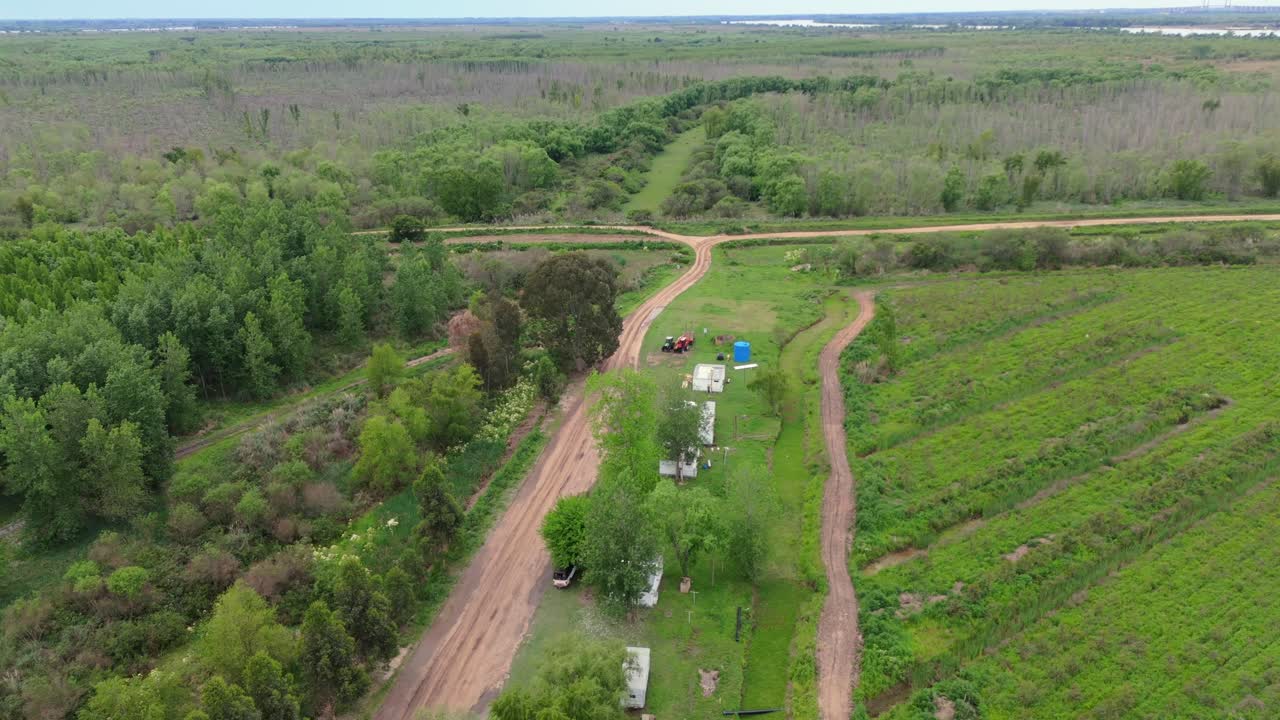 Aerial view of agricultural farmland and road with forest edge in Paraná Delta, Argentina