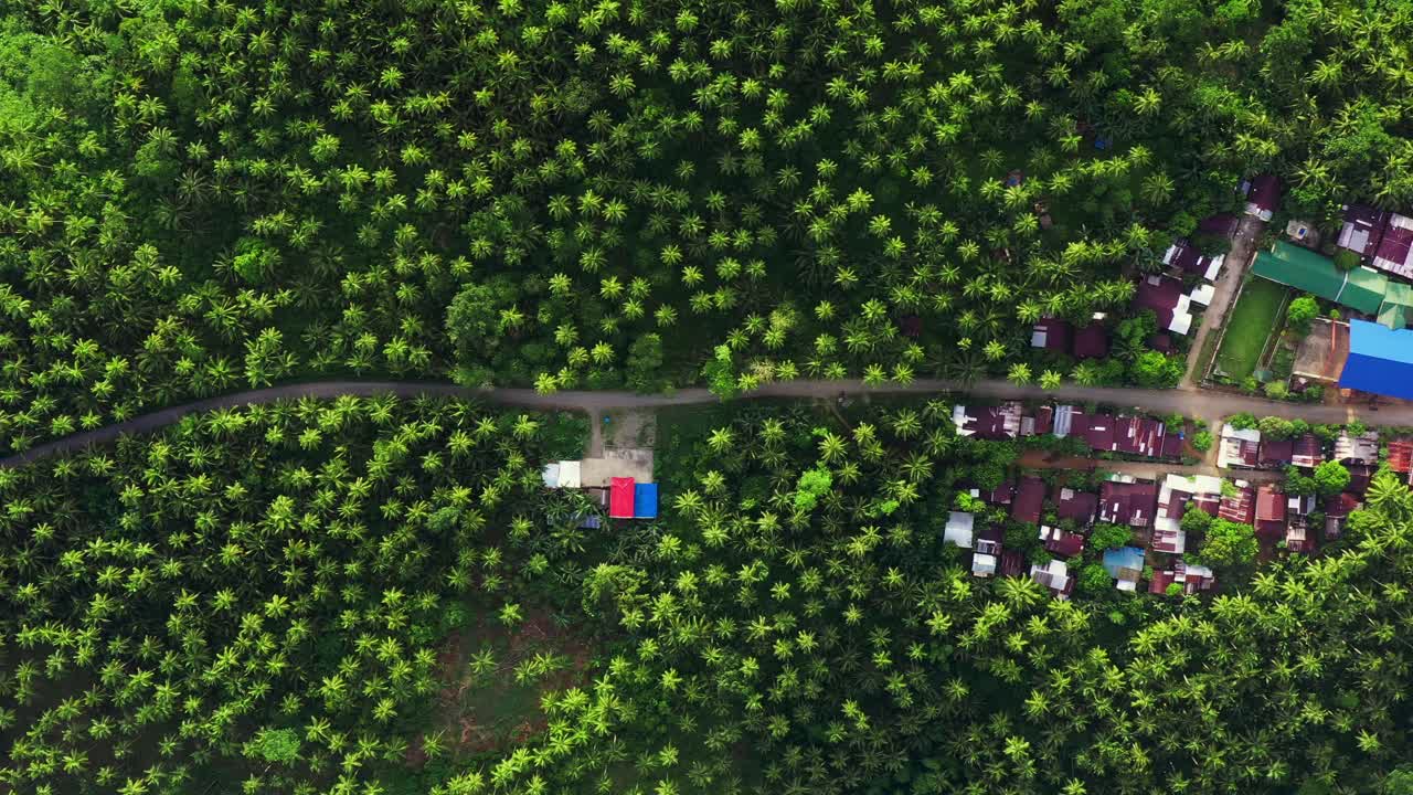 Lush Green Vegetation Surrounding Rural Village In Southern Leyte, Philippines - aerial top down