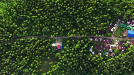 Lush-Green-Vegetation-Surrounding-Rural-Village-In-Southern-Leyte,-Philippines---aerial-top-down