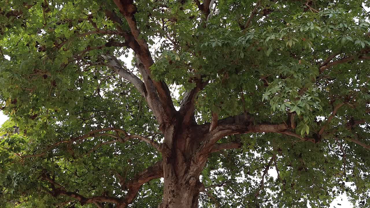 Tourists exploring historical temple ruins