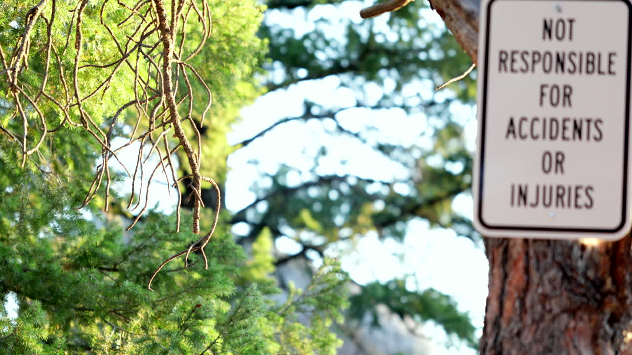 여름에 숲 줄기에 도로 표지판이 있는 흔들리는 나무 잎