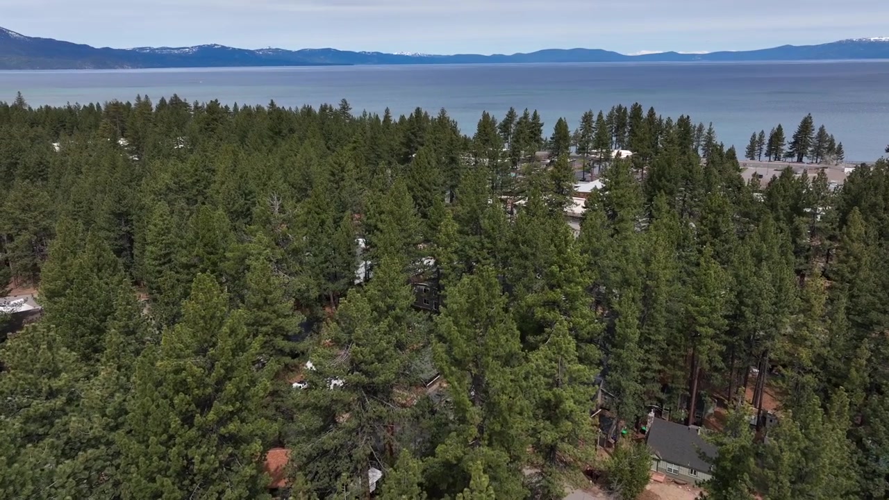 Tæt fyrreskov omgiver South Lake Tahoe med spredte huse nær kystlinjen og roligt blåt vand under blødt dagslys. Naturskønt alpint miljø i Californien, USA. Luftfoto i fremadgående bevægelse.
