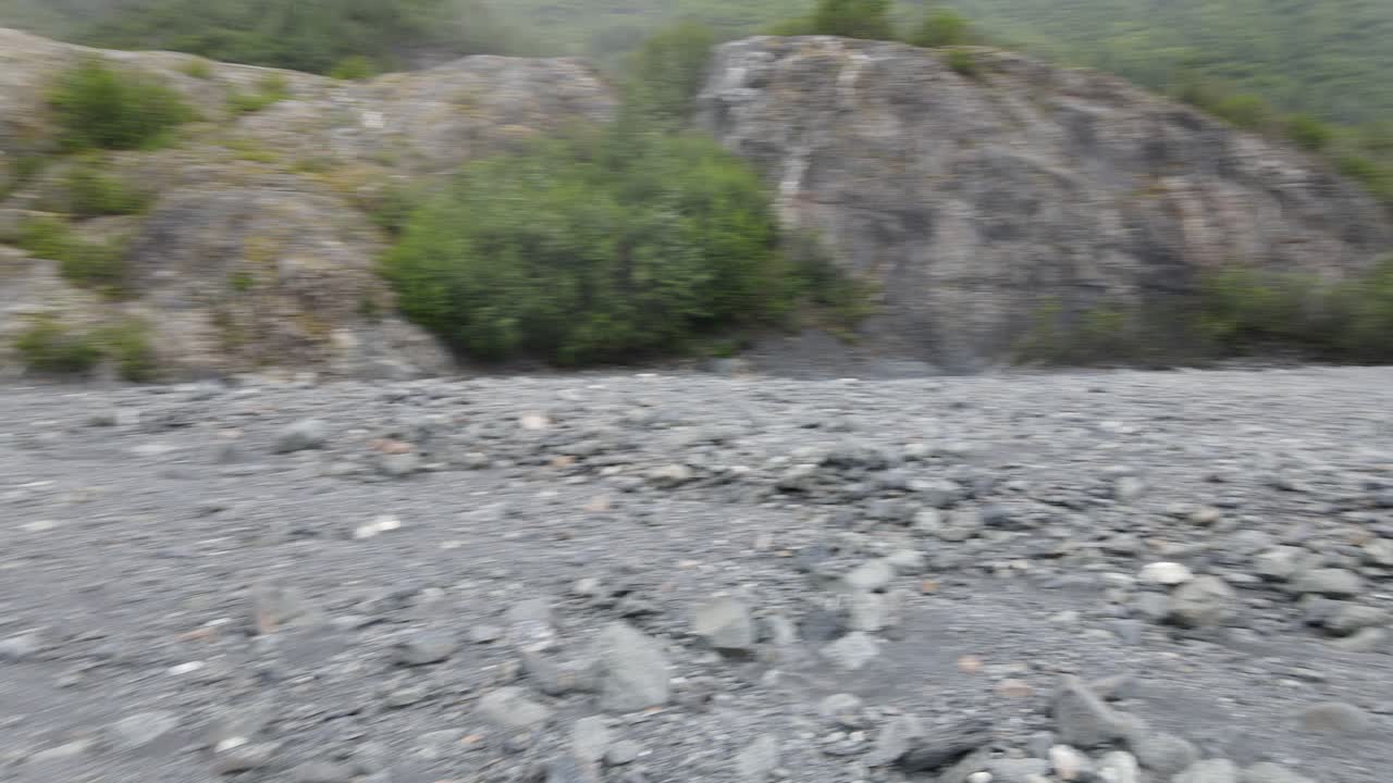 bellissimo fiume che scorre attraverso la lussureggiante foresta