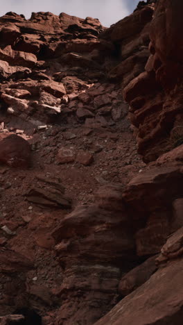 red rock canyon in the desert