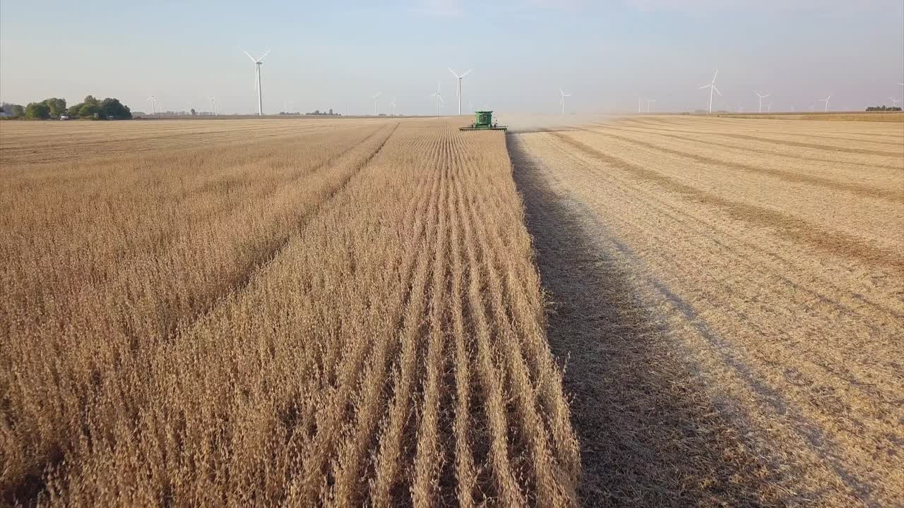 A Midwest farmer harvesting a soybean field with a combine, tractor, and auger wagon