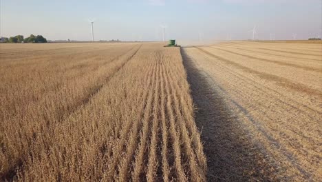 A-Midwest-farmer-harvesting-a-soybean-field-with-a-combine,-tractor,-and-auger-wagon