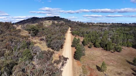 a single vehicle travels along a straight dirt road through a dry, wooded landscape under bright daylight, captured by a steadily moving aerial camera