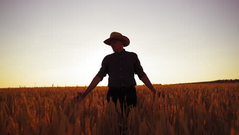 male agronomist on golden field. farmer in hat walks along the agriculture field with ripe spikelets at the setting sun.