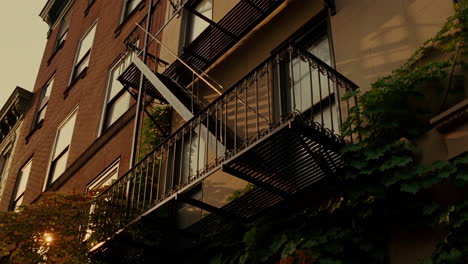 building facade with fire escape and green vines