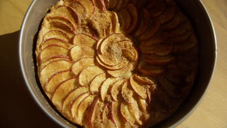 yummy homemade apple pie fresh out of the oven in a two-piece pan 4k sunlit