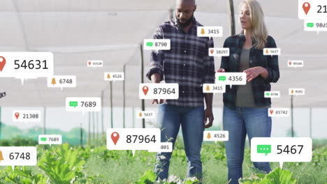 colleagues walking greenhouse rows, with data icons and graphs tracking crop status