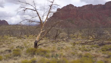 Zion-national-park-kolob-terrace-entrance-sign-in-Utah,-USA