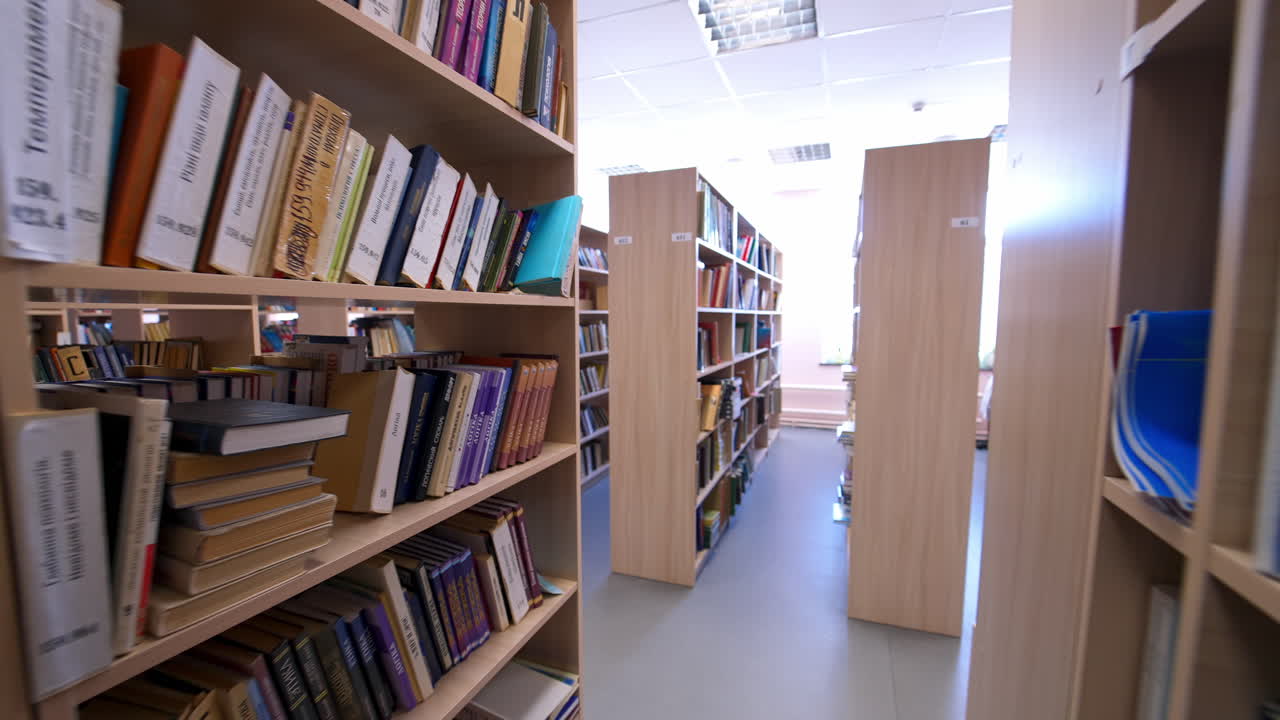 Modern library interior design. Library interior with books on shelves