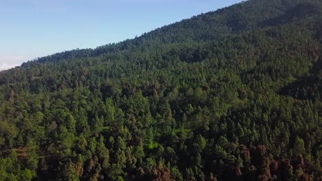 Growing-green-trees-on-mountain-during-sunny-day-with-blue-sky---Aerial-forward-flight