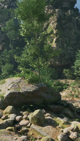 a lush forest path with a stream and rocks