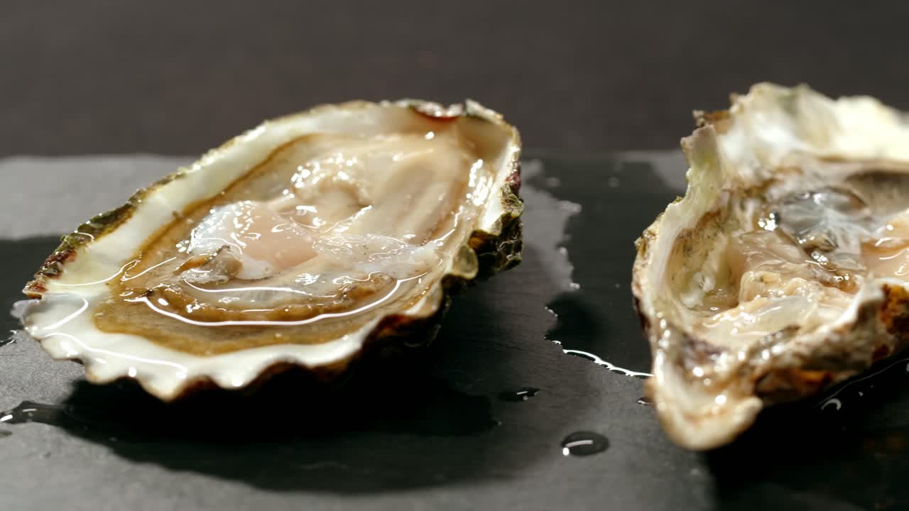 Ostriche fresche in esposizione
