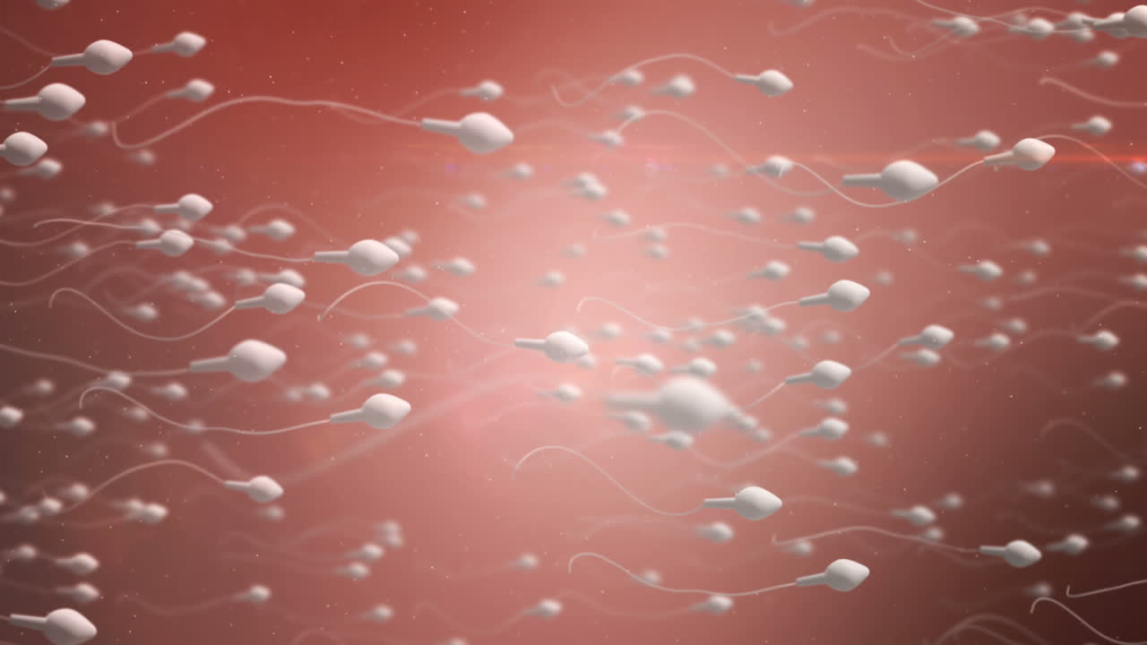 un óvulo en movimiento siendo fertilizado por espermatozoides