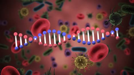 animación digital de la estructura del adn que gira sobre múltiples células y vasos sanguíneos de covid-19