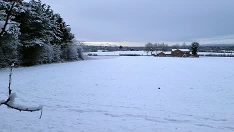 Panning-across-snow-covered-agricultural-farmland-and-rural-British-early-morning-countryside-landscape