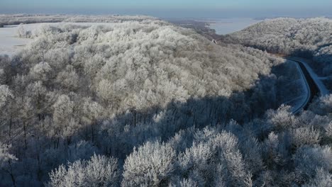 paisaje de invierno congelado con árboles nevados y río