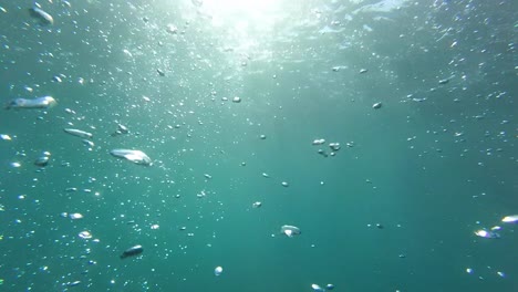 underwater footage with bubbles and sun rays