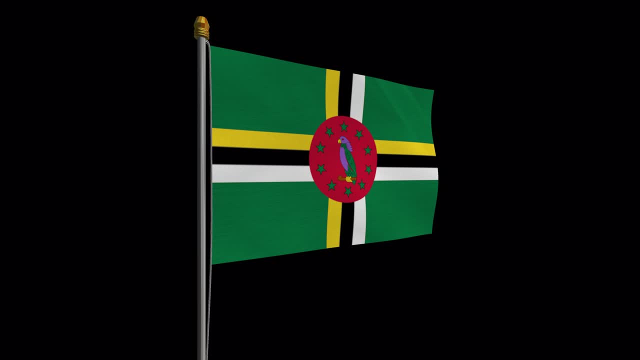 도미니카 발이 바람에 날아다니는 루프 비디오, 4k의 느린 동작 비디오, 알파 채널