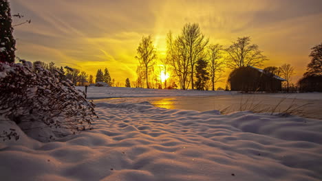 time lapse shot of golden sunset behind leafless trees and snowy winter field with blue hour changing sky to purple color